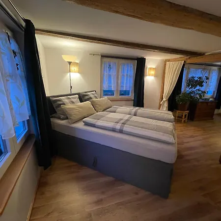 Schwarzwald - Haus Luisa - Charmantes Altstadthaus Bis 4 Personen شتولينغن