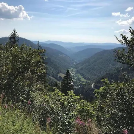 Schwarzwald - Haus Luisa - Charmantes Altstadthaus Bis 4 Personen