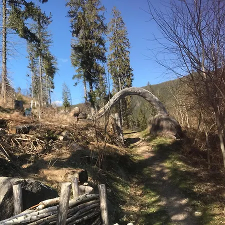 Schwarzwald - Haus Luisa - Charmantes Altstadthaus Bis 4 Personen