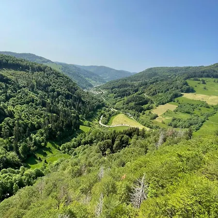 بيت للعطل Schwarzwald - Haus Luisa - Charmantes Altstadthaus Bis 4 Personen شتولينغن