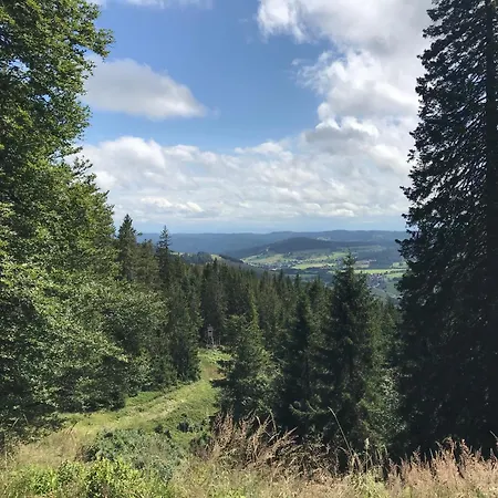 بيت للعطل Schwarzwald - Haus Luisa - Charmantes Altstadthaus Bis 4 Personen